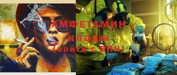 PSILOCYBIN Михайлов