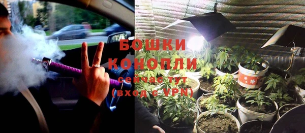 PSILOCYBIN Михайлов