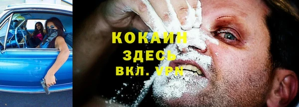 PSILOCYBIN Михайлов